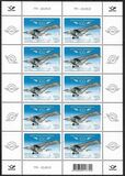 [The 100th Anniversary of the Estonian Civil Aviation, Вид BEJ]