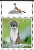 [Fauna - The Stoat, type BEG]