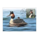 [Bird of the Year – Great Crested Grebe, type BDB]