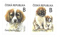 [Young Animals - Puppies - Canis lupus familiaris, type AQG]