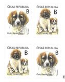 [Young Animals - Puppies - Canis lupus familiaris, type AQG]