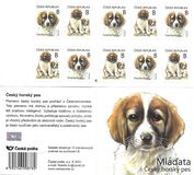[Young Animals - Puppies - Canis lupus familiaris, type AQG]