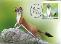 [Fauna - The Stoat, type BEG]