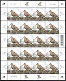 [Bird of the Year - The Eurasian Woodcock, type BEY]