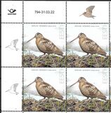 [Bird of the Year - The Eurasian Woodcock, type BEY]
