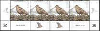 [Bird of the Year - The Eurasian Woodcock, type BEY]