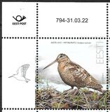 [Bird of the Year - The Eurasian Woodcock, type BEY]