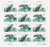 [Fauna, ประเภท QE]