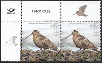 [Bird of the Year - The Eurasian Woodcock, type BEY]