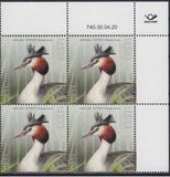 [Bird of the Year – Great Crested Grebe, type BDB]