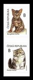 [Fauna - Kittens, 类型 ASL]