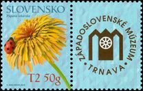 [Perzonalised Stamp - Medicinal Plants, ประเภท XT]