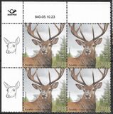 [Fauna - Red Deer, type BGT]