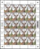 [Fauna - Red Deer, type BGT]