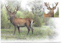 [Fauna - Red Deer, type BGT]