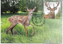 [Fauna - Red Deer, type BGT]