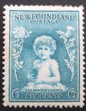 [Newfoundland Issue, type DT]