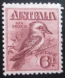 [Definitive Issue - Kookaburra, tip C]