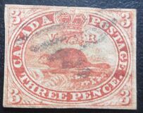 [Beaver, type D]