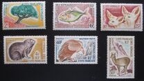 [Flora and Fauna, Typ DL]