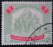 [Elephants, type D1]