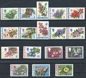 [Flowers, 类型 EB]