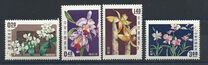 [Taiwan Orchids, प्रकार BW]