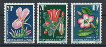 [Flora tropical., tipo BA]