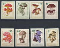 [Mushrooms - Imperforated, Tipi ANP1]