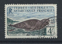 [Animals of Antarctica, type N]