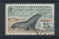 [Animals of Antarctica, type O]