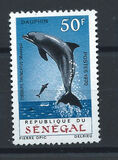 [Dolphins, type IO]