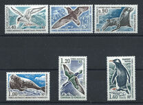 [Animals of Antarctica, type CS]