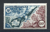 [Marine Fauna, प्रकार BC]