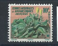 [Tropical Flora, 类型 G]