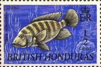 [Wildlife - Fish, tegund DT]