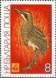 [Birds - EXPO `81 Plovdiv, Tipi DBT]