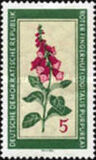 [Medicinal Plants, type OK]