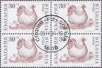 [Domestic Animals, type EKH]