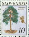 [Nature Conservation - Tree, type CI]