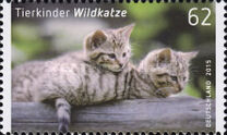 [Baby Animals, type DBJ]