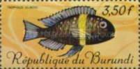 [Fish, type JC]