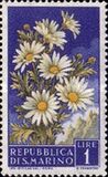 [Flowers & Monte Titano, タイプ IW]