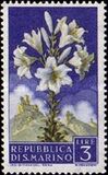 [Flowers & Monte Titano, タイプ IY]