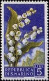 [Flowers & Monte Titano, タイプ JA]
