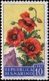 [Flowers & Monte Titano, タイプ JB]