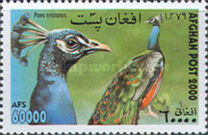 [Fauna - Birds, type AVF]