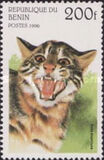 [Wild Cats, タイプ TI]