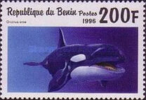 [Marine Mammals, type VM]