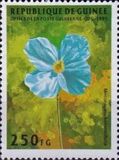 [Flowers, type AQL]